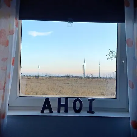 Ferienhaus Alter Deich Prázdninový dům